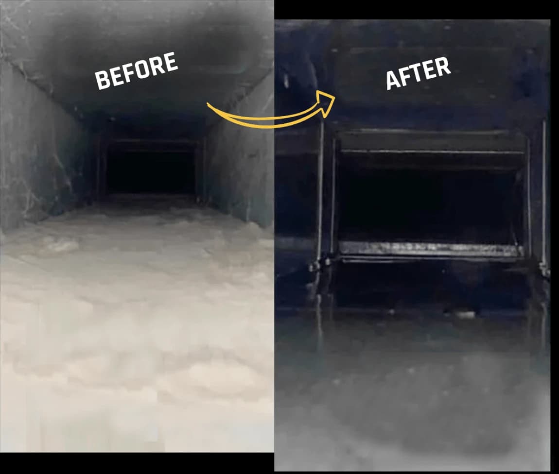 Before and after carpet cleaning results