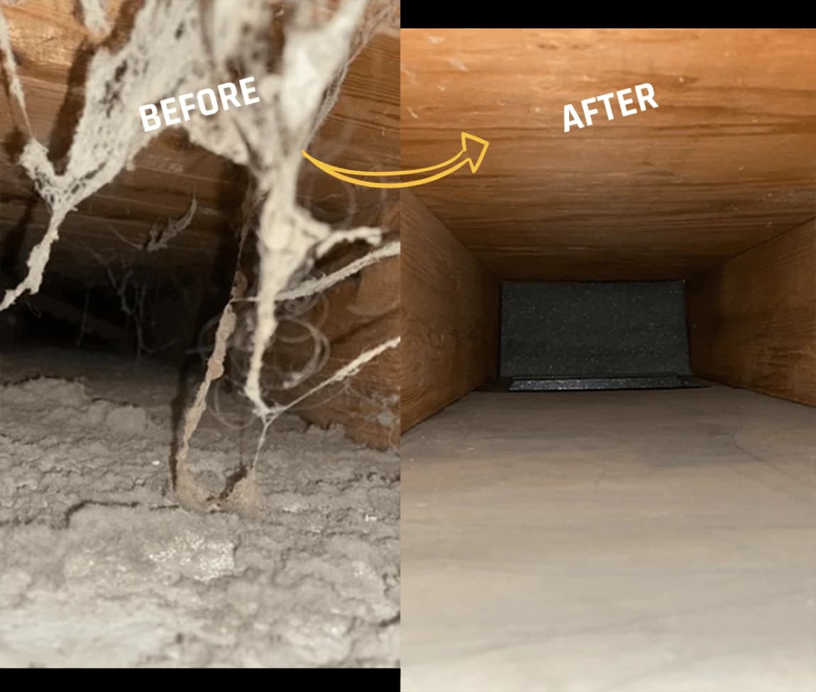 Before and after carpet cleaning results