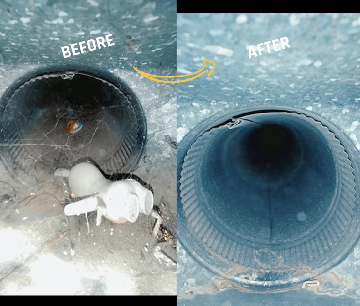 Before and after carpet cleaning results