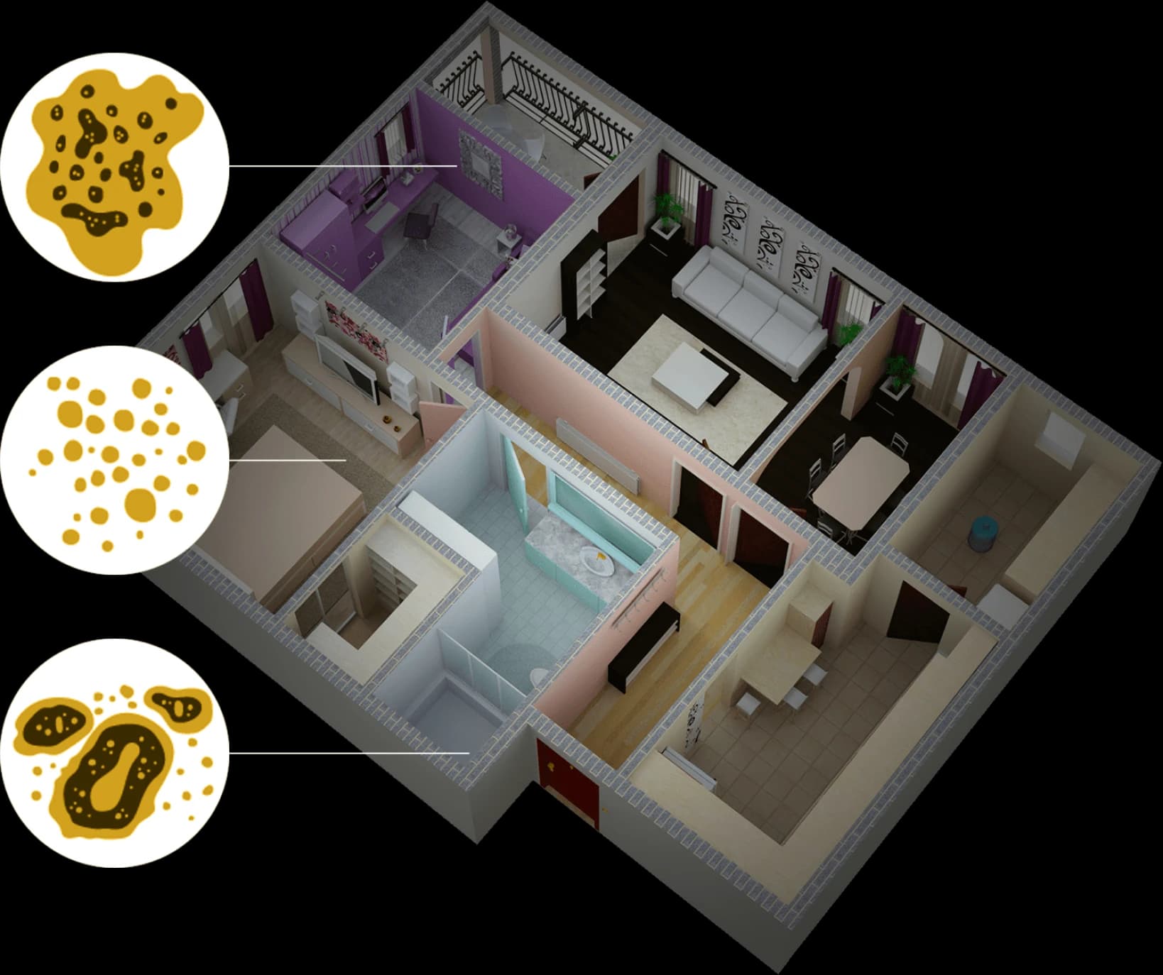 Common types of household mold